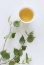 Betula populifolia, grey or grey birch on a white background with a cup tea.Medicinal. Helps to relax, dissolve and