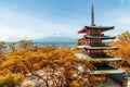 Beuatiful autumn in Japan at Red pagoda with Mt. Fuji Royalty Free Stock Photo