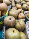 The Beurre Bosc or Bosc Pears Royalty Free Stock Photo