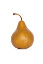 Beurre Bosc Pear on White Royalty Free Stock Photo