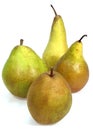 Beurre Hardy, Conference, Comice et Williams Pears, pyrus communis, Fruits against White Background
