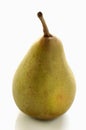 Beurre Hardy pear Royalty Free Stock Photo