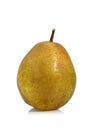 BEURRE HARDY PEAR pyrus communis AGAINST WHITE BACKGROUND