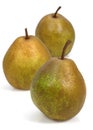 BEURRE HARDY PEAR pyrus communis AGAINST WHITE BACKGROUND