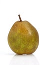Beurre Hardy Pear, pyrus communis, Fruit against White Background