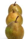 Beurre Hardy Pear, pyrus communis, Fruit against White Background