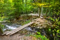 Beusnita National Park, Romania