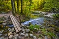 Beusnita National Park, Romania