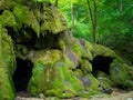 Beusnita Waterfall in Beusnita National Park