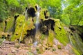 Beusnita waterfall in the forest in summer, Romania Royalty Free Stock Photo