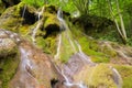 Beusnita waterfall in the forest in summer, Romania Royalty Free Stock Photo