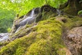 Beusnita waterfall in the forest in summer, Romania Royalty Free Stock Photo