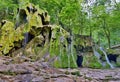 Beusnita waterfall Romania Royalty Free Stock Photo