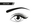 Beutiful eye vector illustration. Eyeliner makeup. Woman`s eye isolated icon
