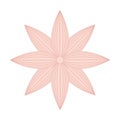 beutiful flower isolated icon design Royalty Free Stock Photo