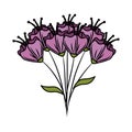 beutiful flowers bouquet icon