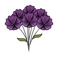 beutiful flowers bouquet icon