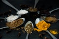 Beutiful image of spices presented on spoons Royalty Free Stock Photo