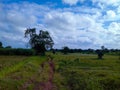 Beutiful rural india landscape. Royalty Free Stock Photo