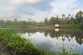 A beutiful scenery of landscape with river, sky in village in kerala, india Royalty Free Stock Photo