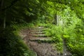 Beutiful shiny green scandinavian view next to the river Royalty Free Stock Photo