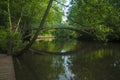 Beutiful shiny green scandinavian view next to the river Royalty Free Stock Photo