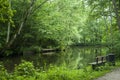 Beutiful shiny green scandinavian view next to the river Royalty Free Stock Photo