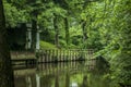 Beutiful shiny green scandinavian view next to the river Royalty Free Stock Photo