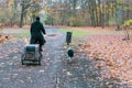 Beutiful Tiergarten Park in Belin with autumn foliage