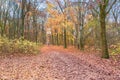 Beutiful Tiergarten Park in Belin with autumn foliage