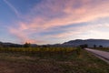 Beutiful view of Umbria valley at dawn, with vineyards in the foreground, Assisi town in the background, beneath a blue sky with