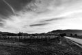 Beutiful view of Umbria valley at dawn, with vineyards in the foreground, Assisi town in the background, beneath a deep