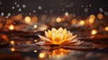 Beutiful water lily floating on the dark sparkling background