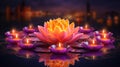 Beutiful water lily floating on the dark sparkling background