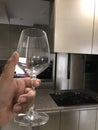 A beutiful wine glass on hand