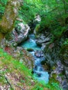 Beutifull bright green mountain stream Royalty Free Stock Photo