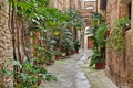 Bevagna, Umbria, Italy: ancient alley Royalty Free Stock Photo