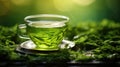 beverage antioxidant tea drink green