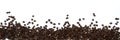 Beverage background of roasted coffee beans scattered isolated around on white background Royalty Free Stock Photo
