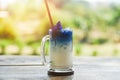 Beverage of butterfly pea drink glass on wooden with nature green background - Iced blue pea flower and milk juice in summer