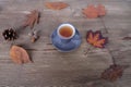 beverage, hot drink in a mug, leaves, foliage, top view of wooden table, good weather concept, outdoor tea party, cozy autumn mood Royalty Free Stock Photo