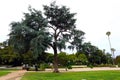 Beverly Hills, California: Beverly Hills Sign located in Beverly Gardens Park Royalty Free Stock Photo