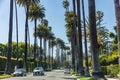 Beverly hills. LA, California, USA. Palm trees and cars Royalty Free Stock Photo