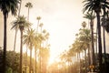 Beverly Hills, Los Angeles Royalty Free Stock Photo