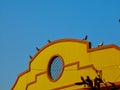 A bevy of Pigeons enjoys their magic hour stroll in Indian cityscape.