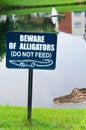 Beware of alligators sign with alligator in lake