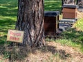 Beware of beehive in a garden in german Royalty Free Stock Photo