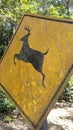 Beware of deer signboard