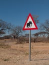 Beware of elephants Royalty Free Stock Photo