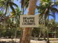 Beware of Falling Coconuts Pacific Ocean Royalty Free Stock Photo